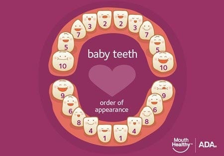 baby teeth order of appearance