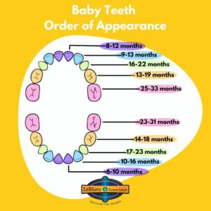 Baby teething chart